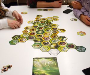 Ecogon Beispiel