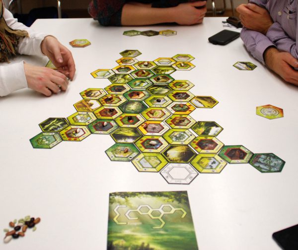Ecogon Beispiel