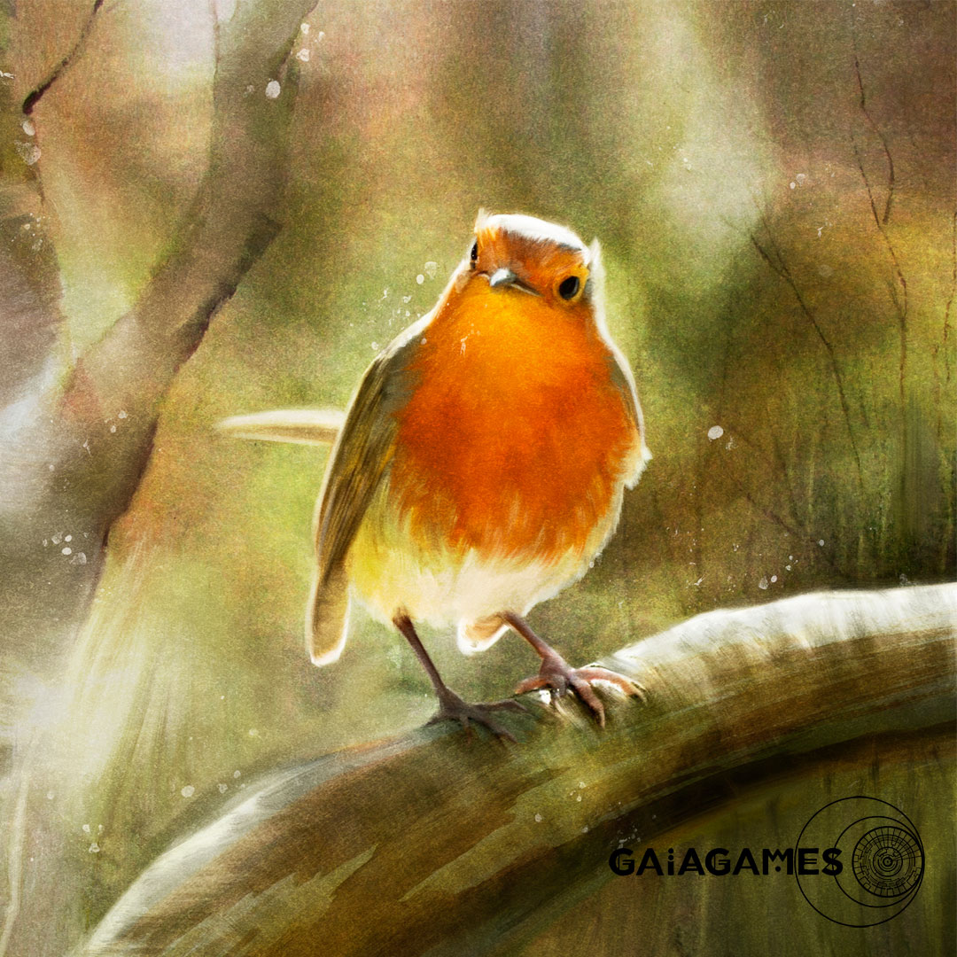 Rotkehlchen Erithacus rubecula Gaiagames Infos