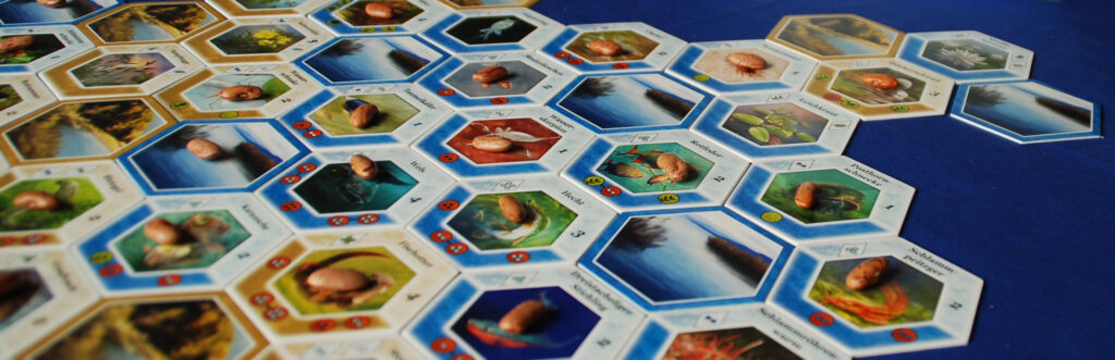 Ecogon Stille Wasser Beispiel