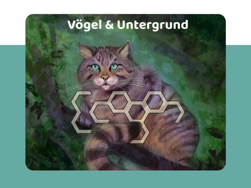 Ecogon-Voegel-Untergrund