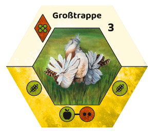 Ecogon-Vögel Großtrappe