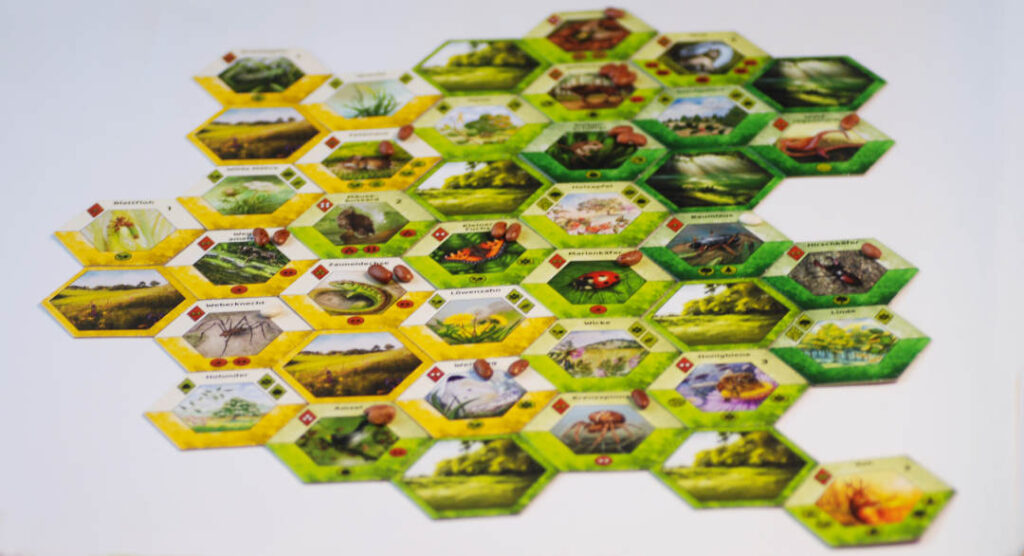 Ecogon-Spielfeld