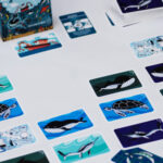 Fish'n'Flips-Spielbeispiel