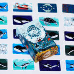 Fish'n'Flips-Präsentation