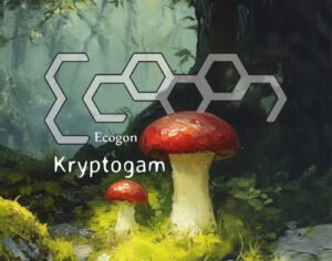Ecogon-Kryptogam-Cover