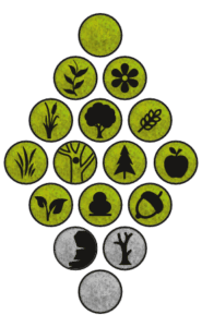 Ecogon-DIY-Assets-Pflanzen-Bedürfnisse