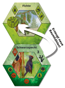 Ecogon-Kryptogam-Schwarzspecht