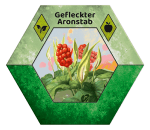 Ecogon Kryptogam - Aronstab