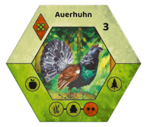 Ecogon Kryptogam - Auerhahn