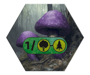 Ecogon Kryptogam - Pilz
