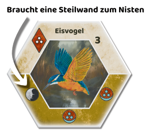Ecogon-Vögel-Eisvogel