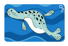 Frische-Fische-Robbe