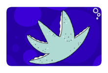 Frische-Fische-Seestern