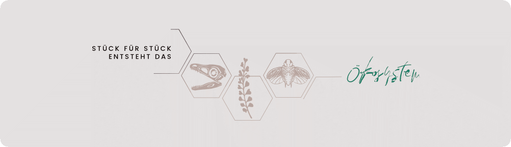 Paleogon-Ökosystem