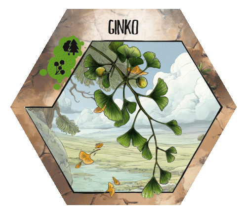 Paleogon-Ginko